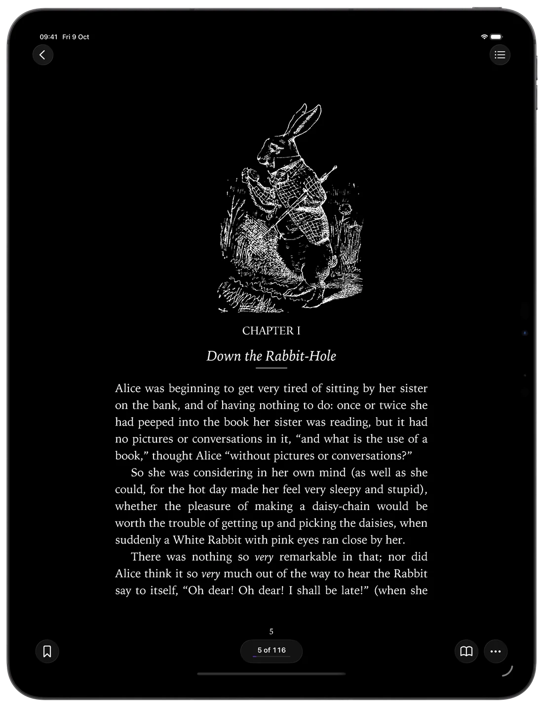 Page themes for a scanned book in DjVu Reader on iPad