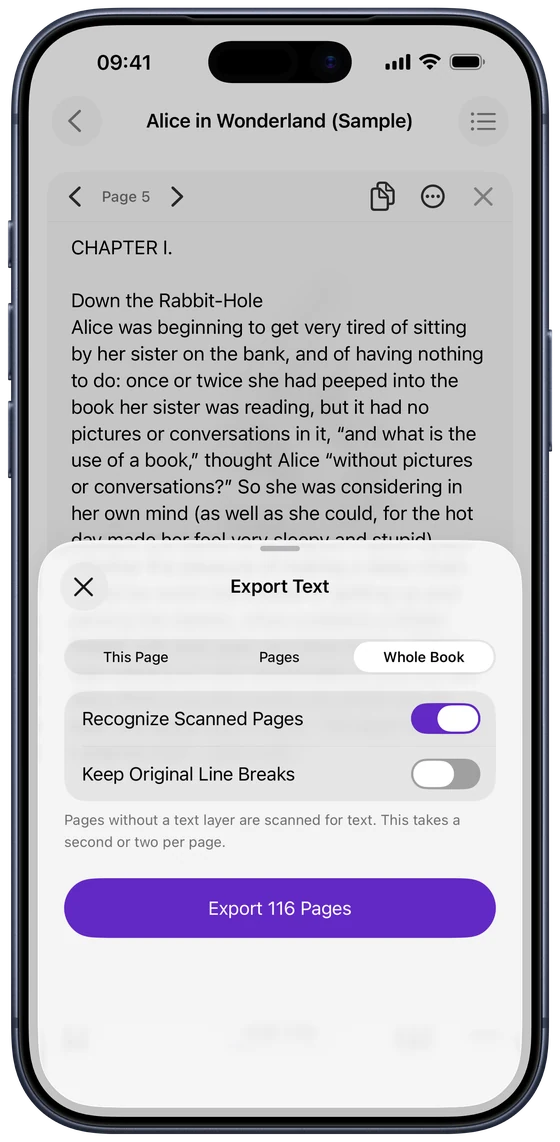 The Export Text options in DjVu Reader: This Page, Pages or Whole Book