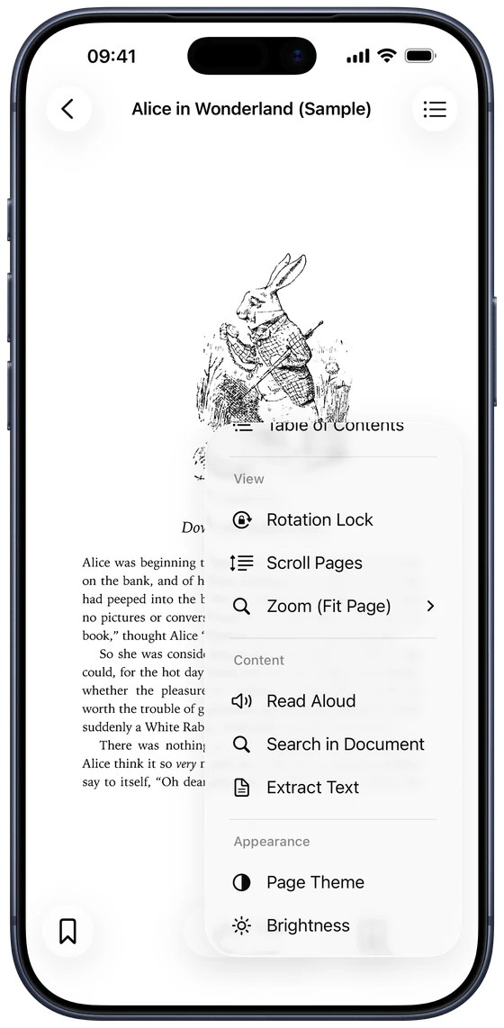 The reader menu in DjVu Reader with Read Aloud, Search in Document and Extract Text